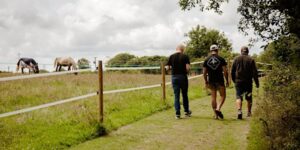 Long shot of the VFV team in fields, getting ready for the veterans family fun day.